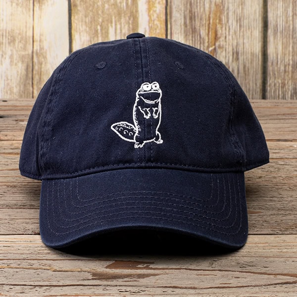 Dad hat with frog embroidery navy